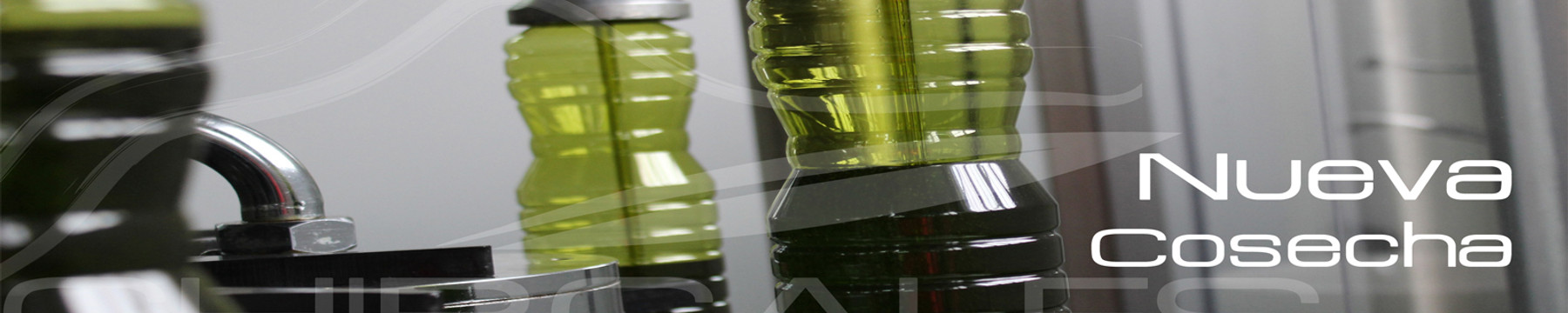 OLEICOLA VALDEPEÑAS DE JAÉN SCA